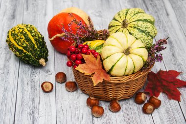 Sonbahar yapraklı balkabakları