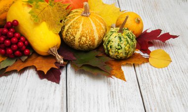 kabaklar ve yaprakları