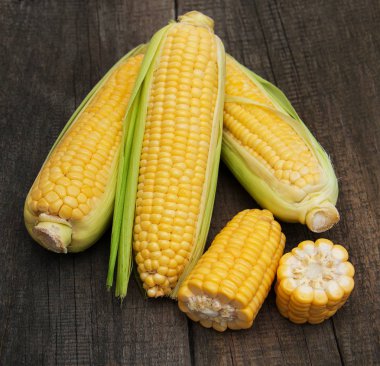 Koçanda taze mısır