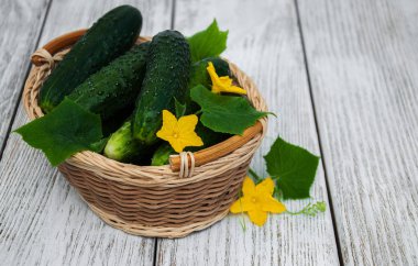 Bir tablo üzerinde taze salatalık