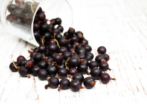 Glass with black currant — Stock Photo, Image