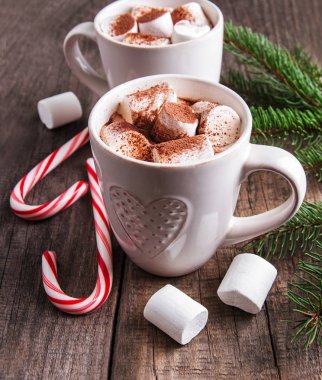 Noel kakao krema ile