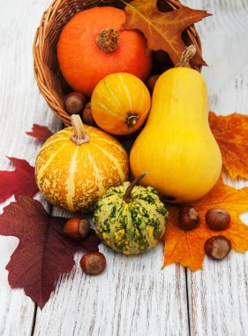 kabak ve yaprakları