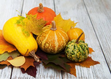 kabaklar ve yaprakları