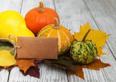 kabaklar ve yaprakları