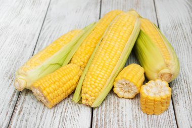 Koçanda taze mısır