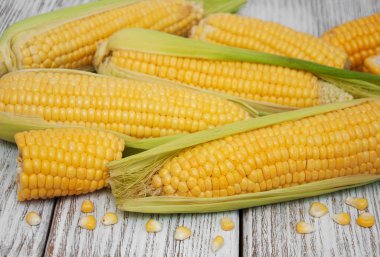 Koçanda taze mısır