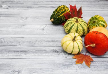 Sonbahar yapraklı balkabakları