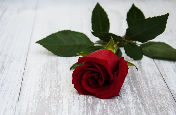 Rosa roja sobre una mesa —  Fotos de Stock