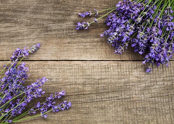 Mazzo di lavanda — Foto Stock