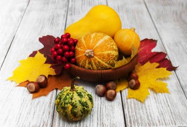 kabak ve yaprakları