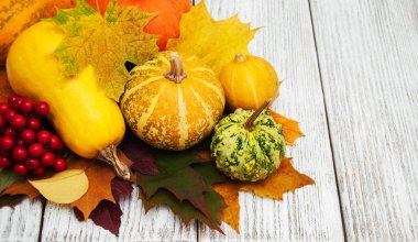 kabaklar ve yaprakları