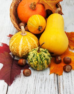 kabak ve yaprakları