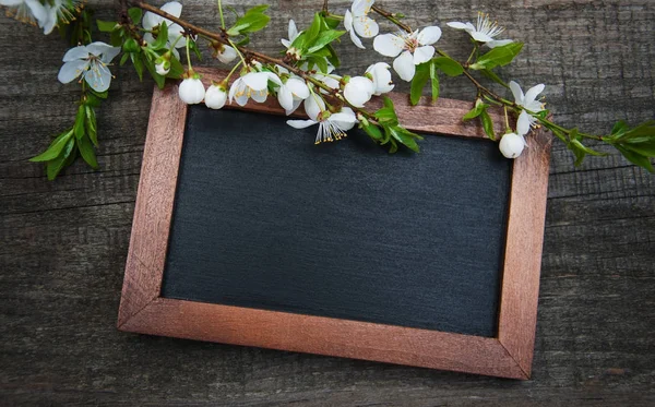 Spring cherries blossom and blackboard — Stock Photo, Image