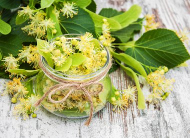 ıhlamur çiçek bir kavanoz içinde