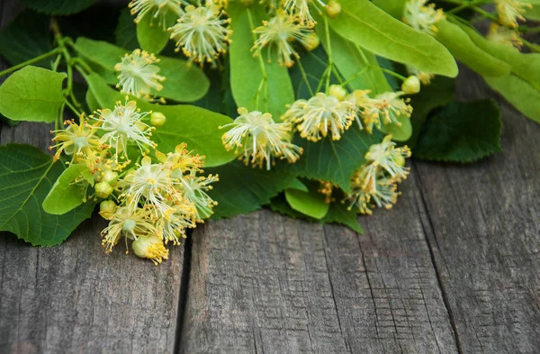 Linden flowers on the table — Stock Photo, Image