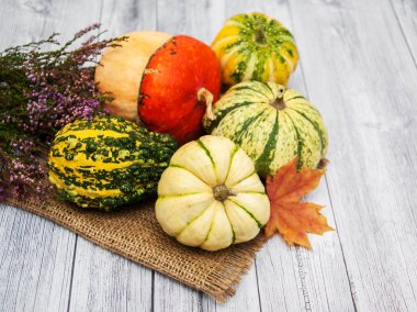 Sonbahar yapraklı balkabakları