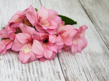 bir masaya alstroemeria çiçek