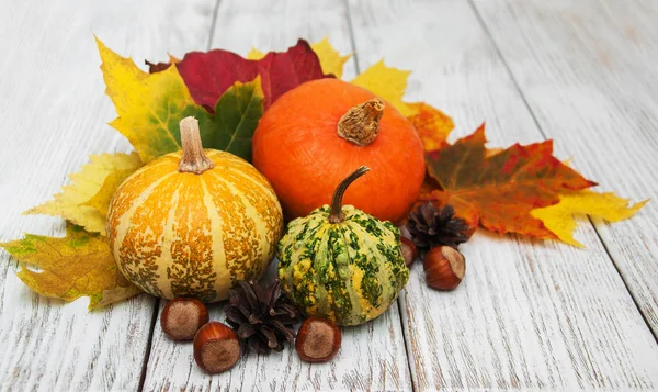 kabak ve yaprakları