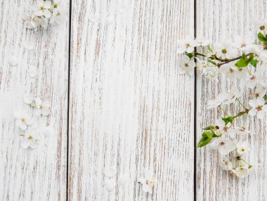 Bahar kiraz çiçeği