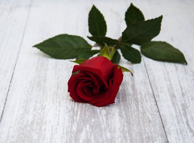 Bir masada kırmızı gül