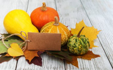 kabaklar ve yaprakları