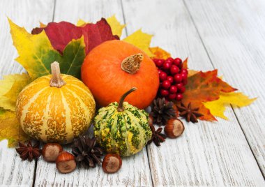 kabak ve yaprakları