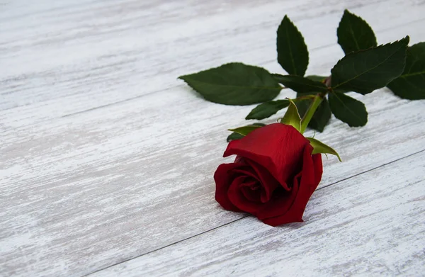 Rosa roja sobre una mesa —  Fotos de Stock