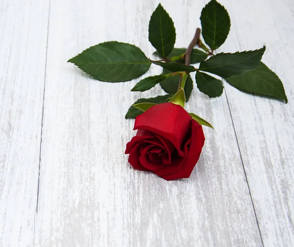 Rosa roja sobre una mesa —  Fotos de Stock