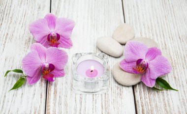 Orkide Spa konseptiyle