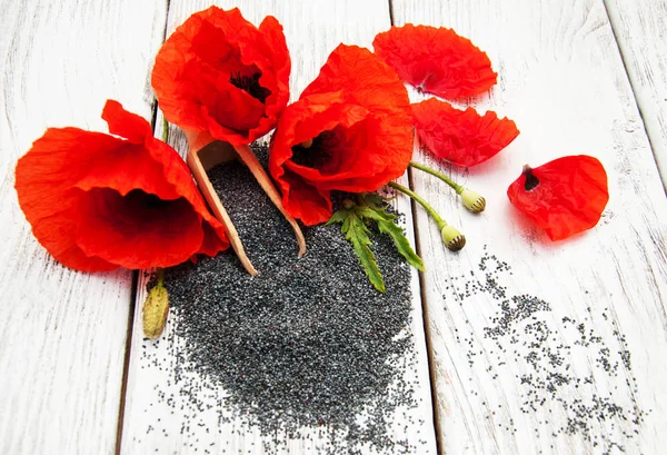 Poppy seeds and flowers — Stock Photo, Image