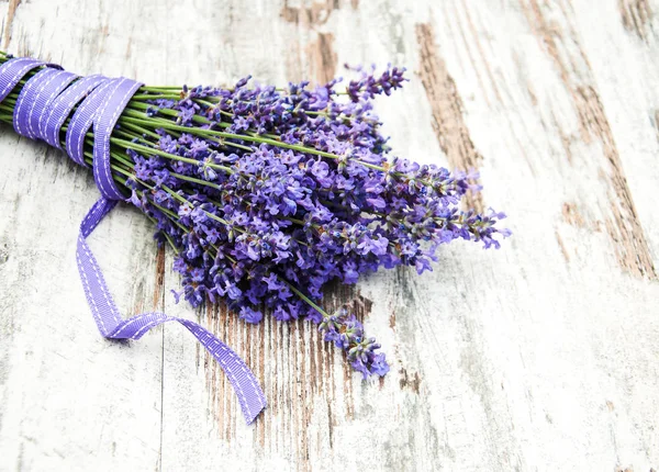 Bunch of lavender — Stock Photo, Image