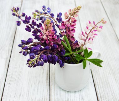 Cam vazo içinde sunulan lupines