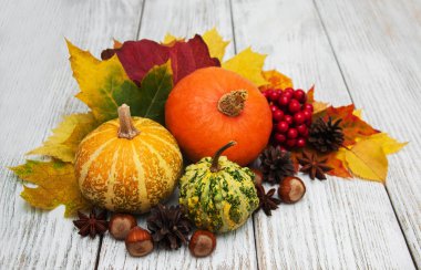 kabak ve yaprakları