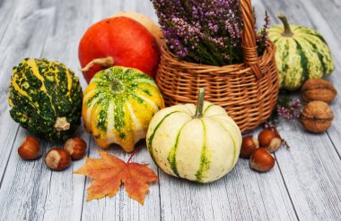 Sonbahar yapraklı balkabakları