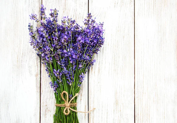 Bunch of lavender — Stock Photo, Image