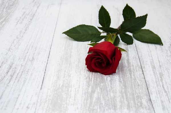 Rose rouge sur une table — Photo
