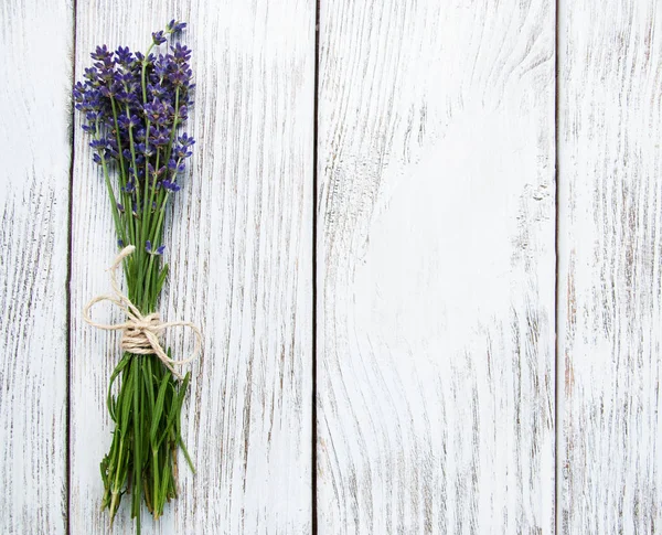 Bunch of lavender — Stock Photo, Image