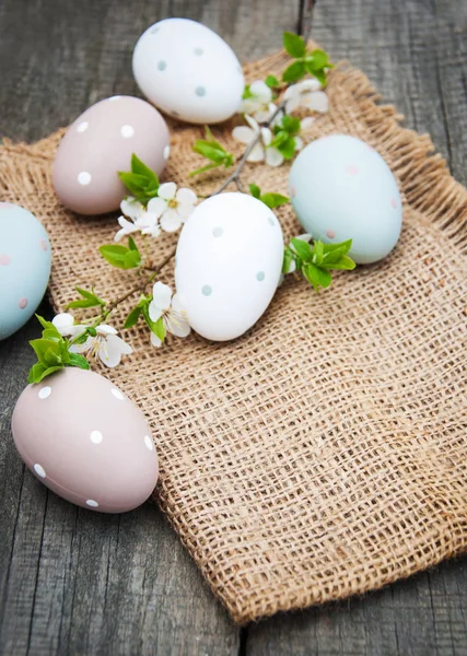 Huevos de Pascua y flor de primavera — Foto de Stock