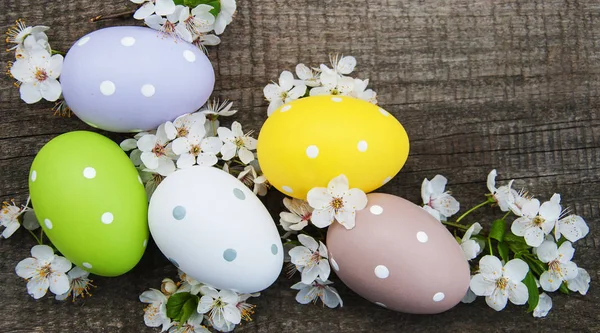 Huevos de Pascua y flor de primavera — Foto de Stock