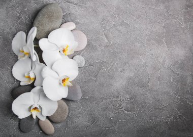 Beyaz Orkide ve masaj taşlar