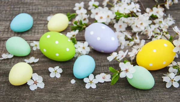 Velikonoční vajíčka a jarní květ — Stock fotografie