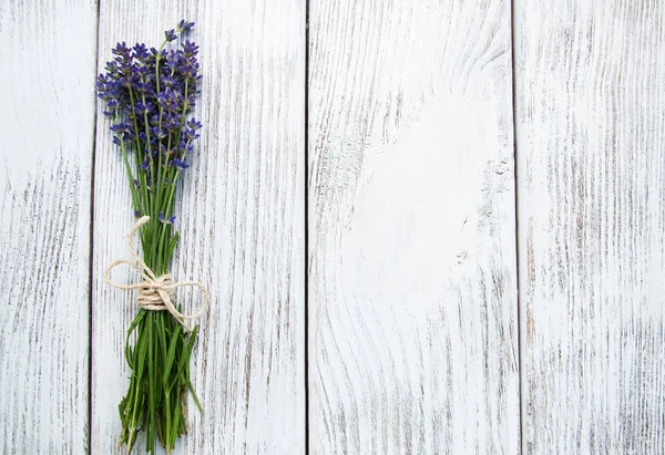 Manojo de lavanda — Foto de Stock