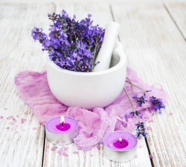 Taze lavanta çiçekleri