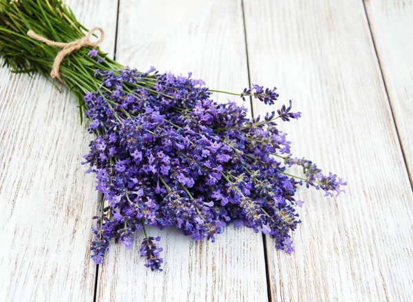 Monte de lavanda — Fotografia de Stock