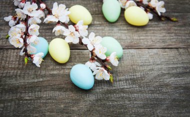 Paskalya yumurtaları ve bahar çiçeği