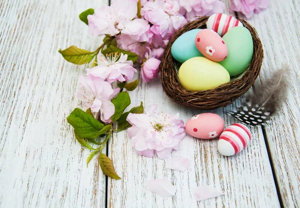 Huevos de Pascua y flor de sakura — Foto de Stock