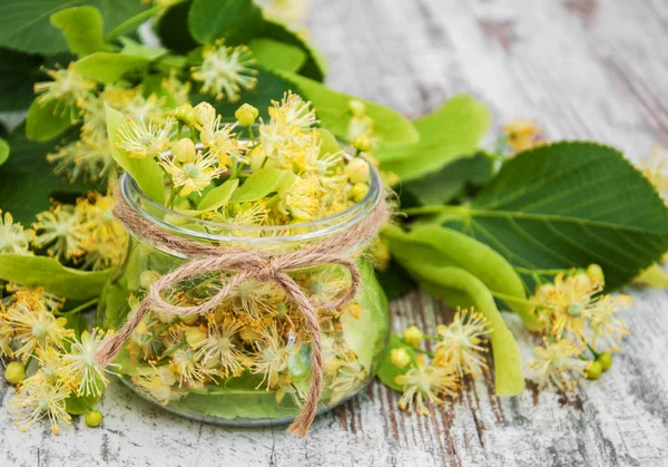 Flores de tília em um jarro — Fotografia de Stock