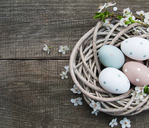 Ostereier und Frühlingsblüher — Stockfoto