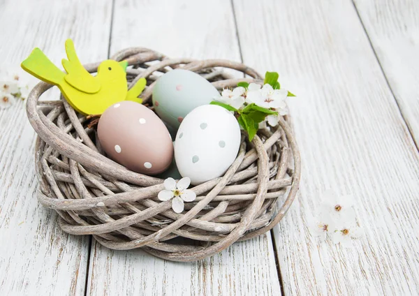 Uova di Pasqua e primavera sboccio — Foto Stock